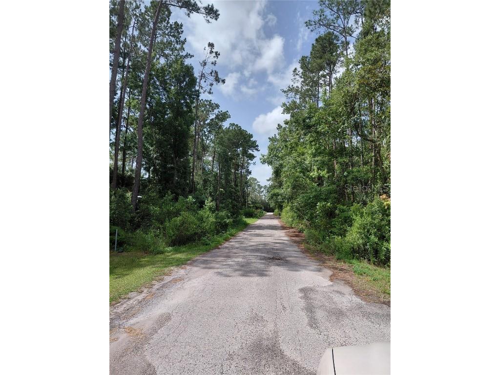 James Street Astor FL 32102 O6317706 image1