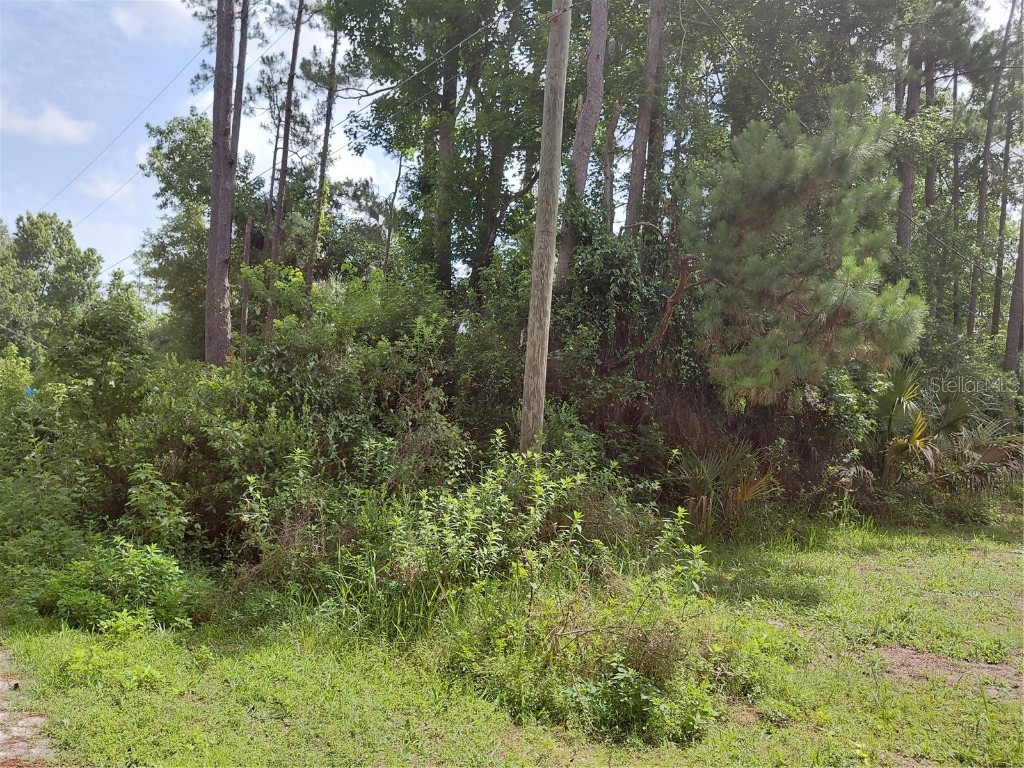 James Street Astor FL 32102 O6317706 image4