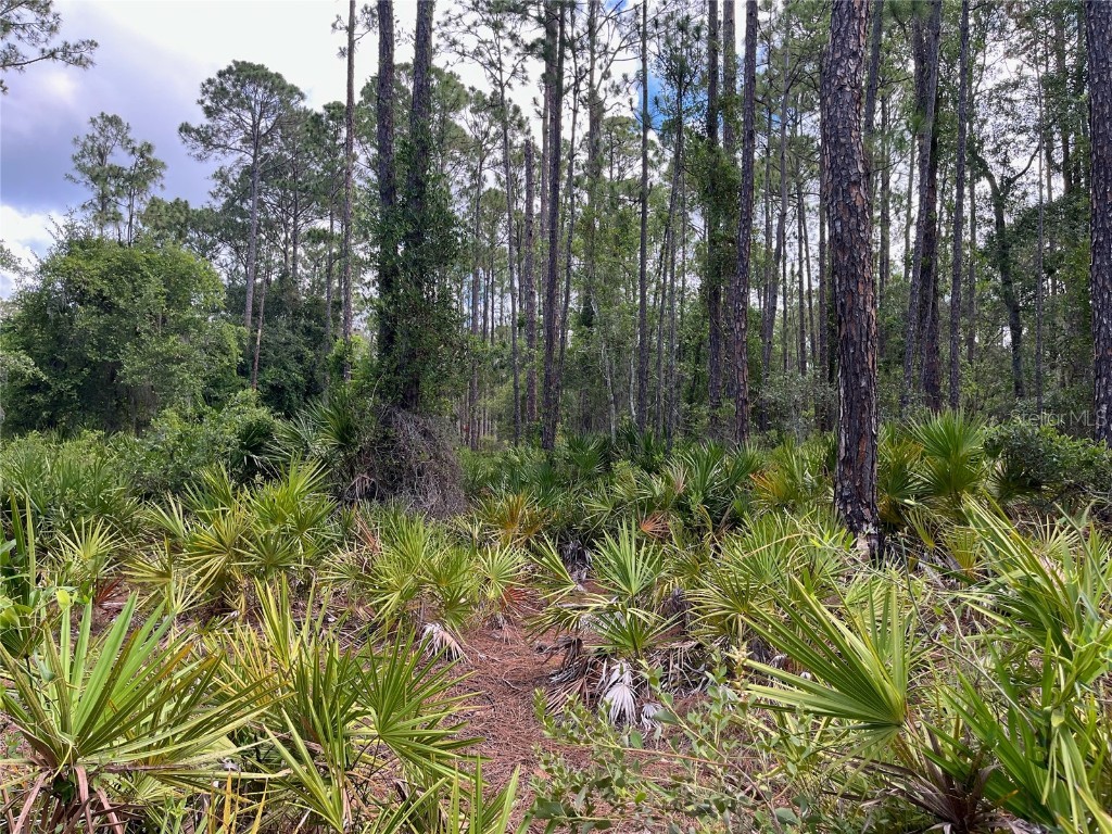 James Street Hastings FL 32145 OK224131 image1