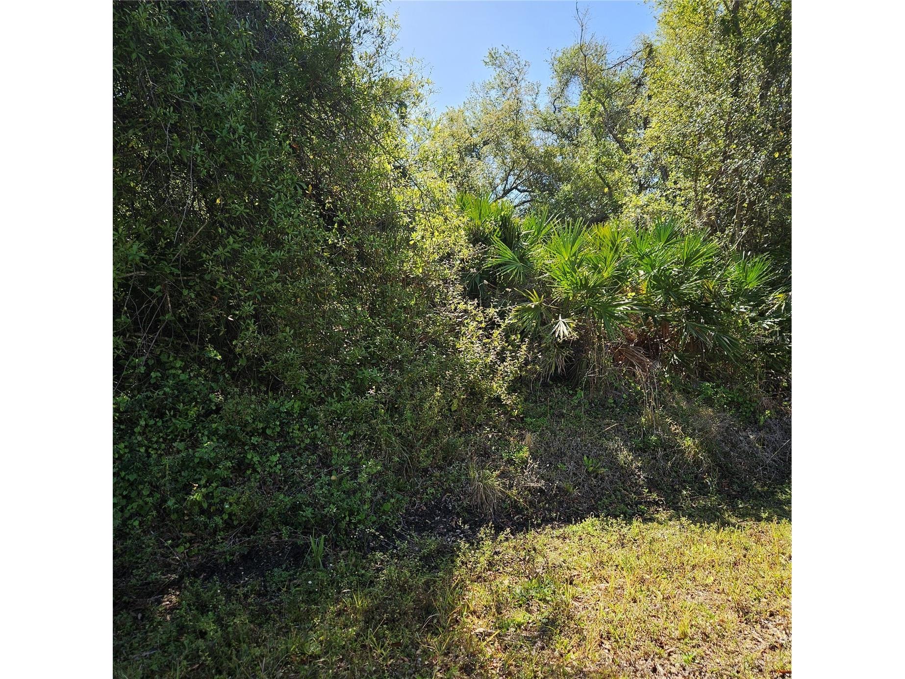 Janaro Road North Port FL 34288 C7522991 image1