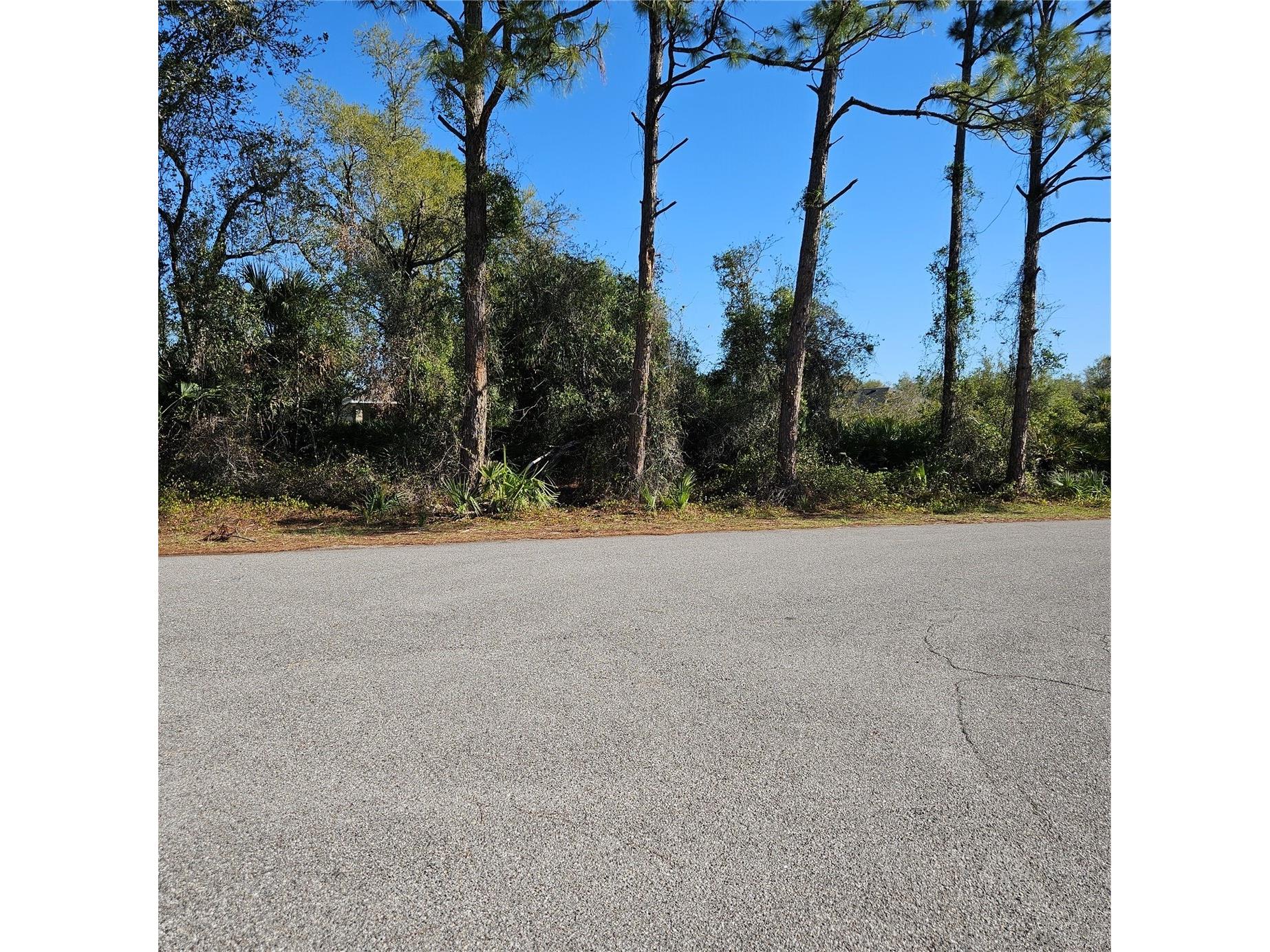 Janaro Road North Port FL 34288 C7522992 image1