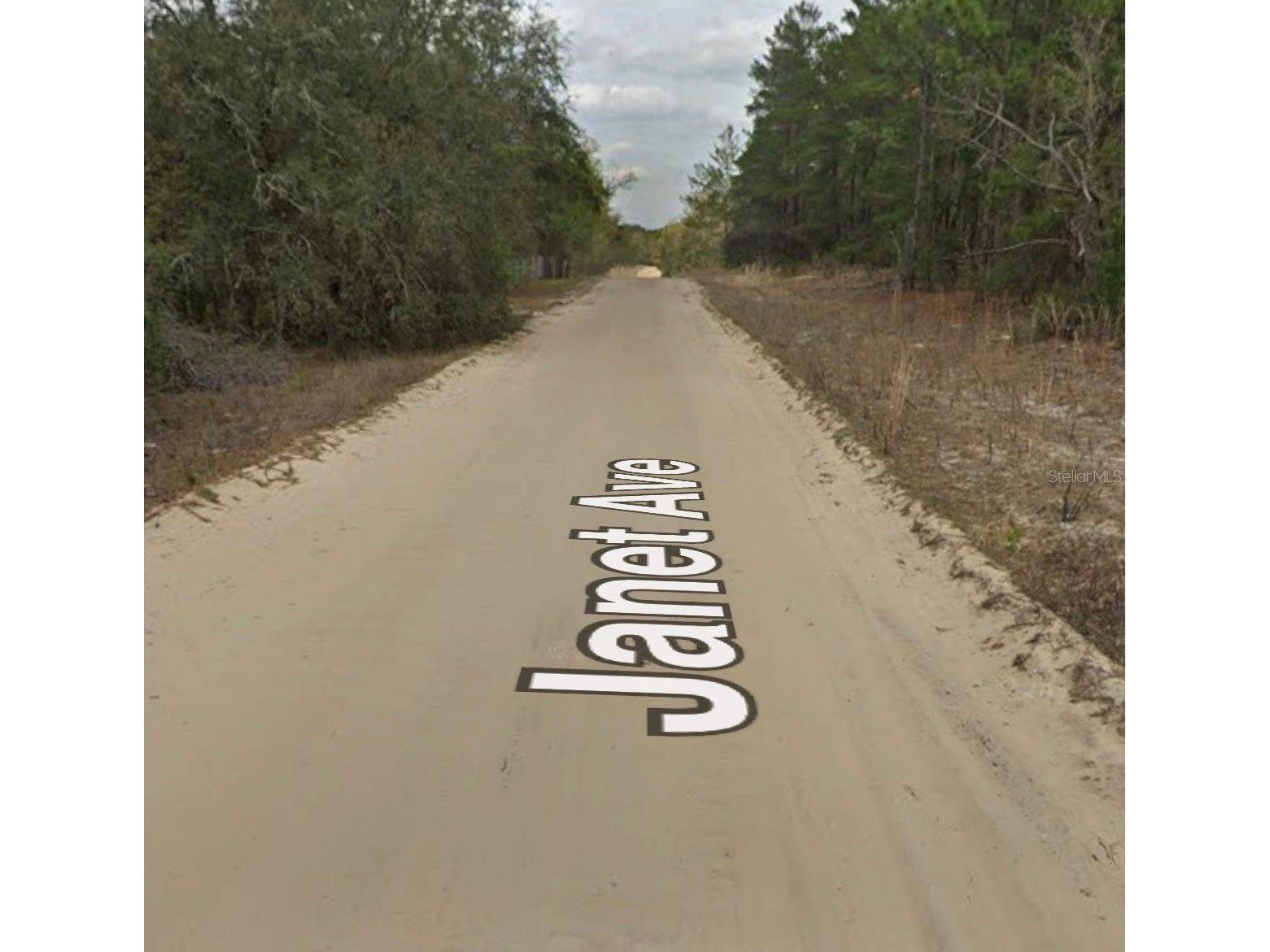 Janet Ave Interlachen FL 32148 A4695602 image2