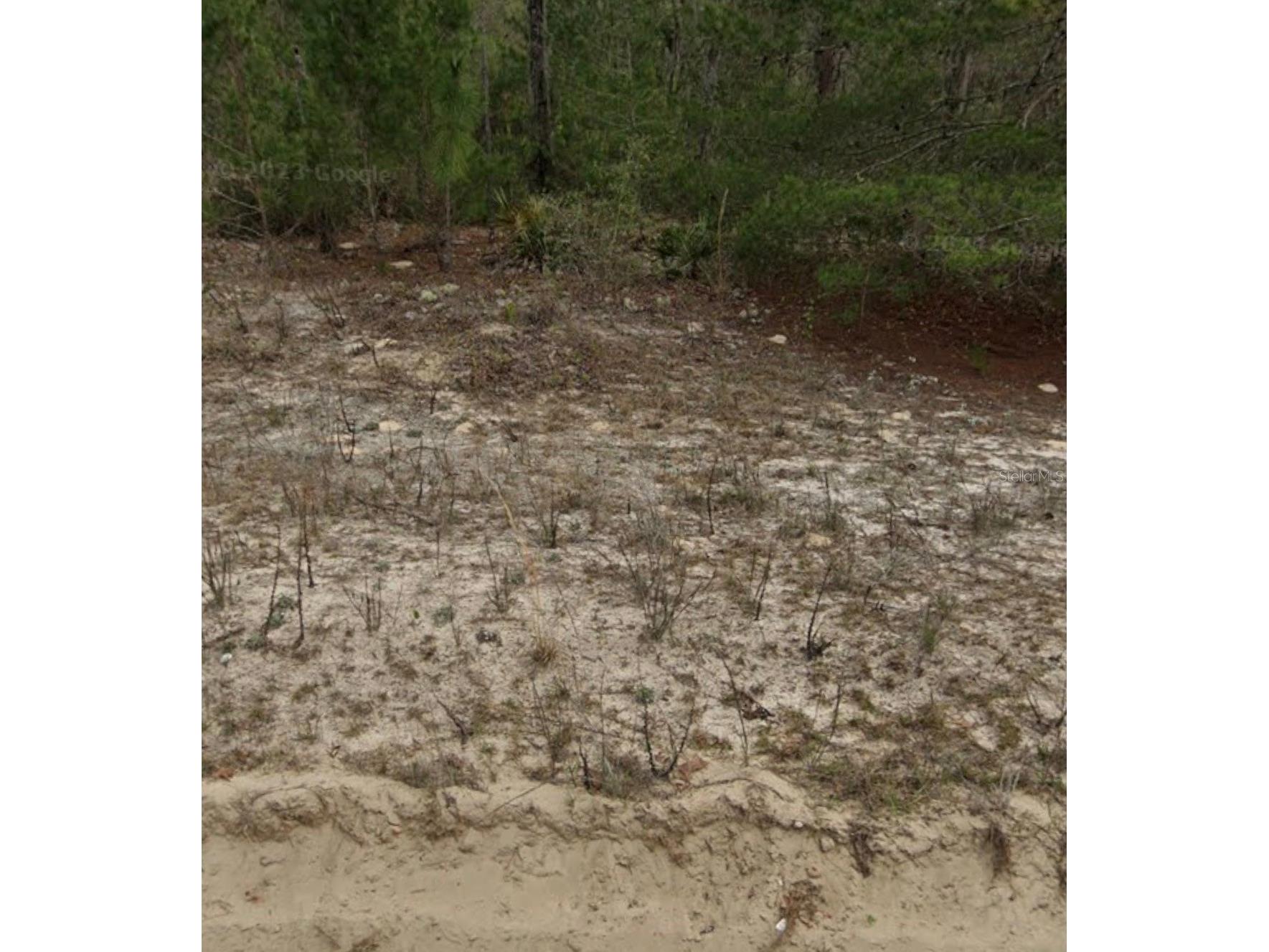 Janet Ave Interlachen FL 32148 A4695602 image3