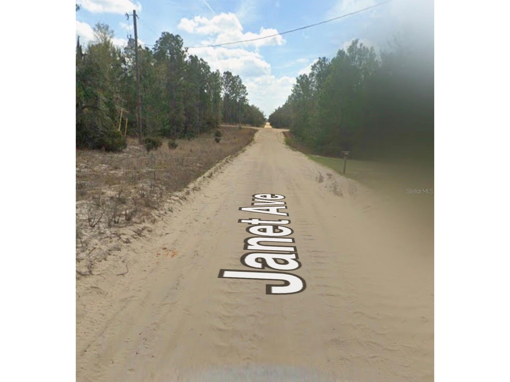 Janet Ave Interlachen FL 32148 A4695602 image4