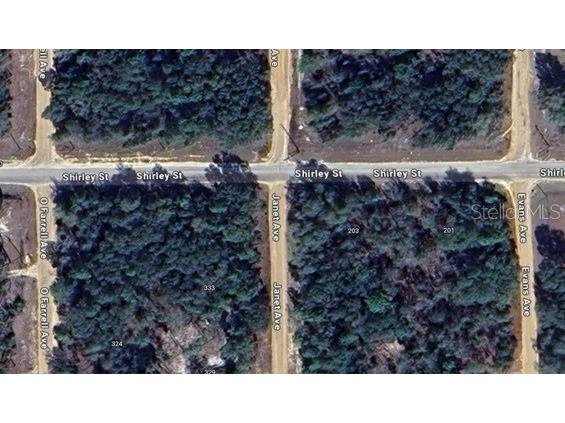 Janet Ave Interlachen FL 32148 TB8351948 image1