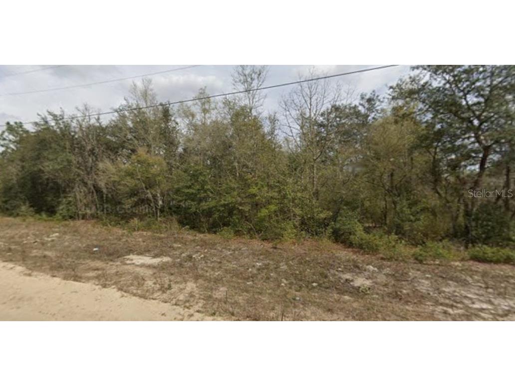 Janet Avenue Interlachen FL 32148 O6358208 image1