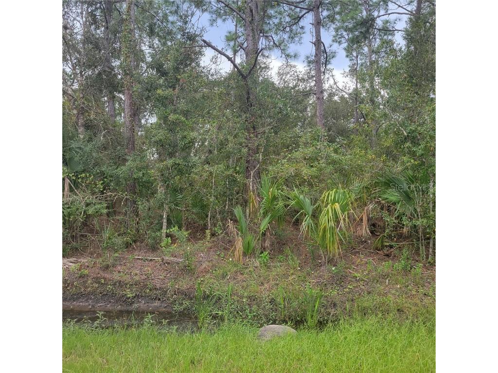 Jaremko Street North Port FL 34286 U8220567 image1