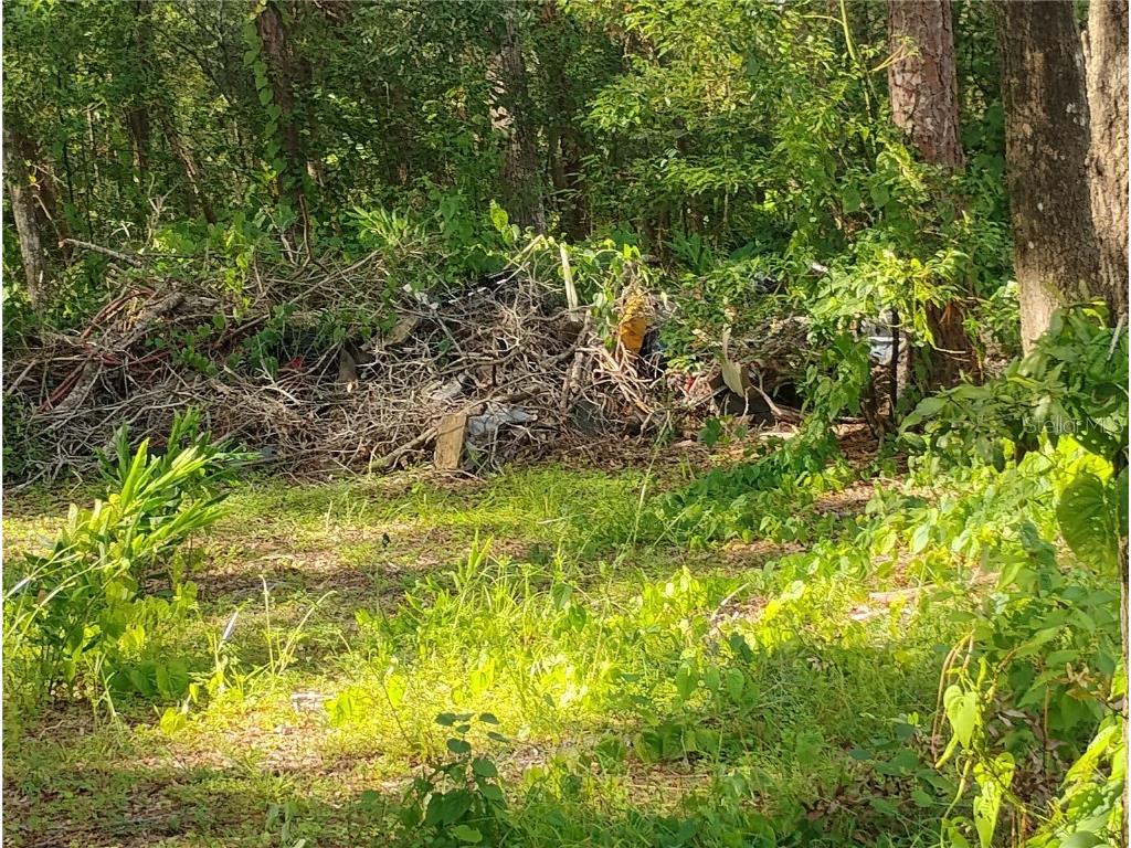Jasmine Road Altoona FL 32702 OM709344 image1