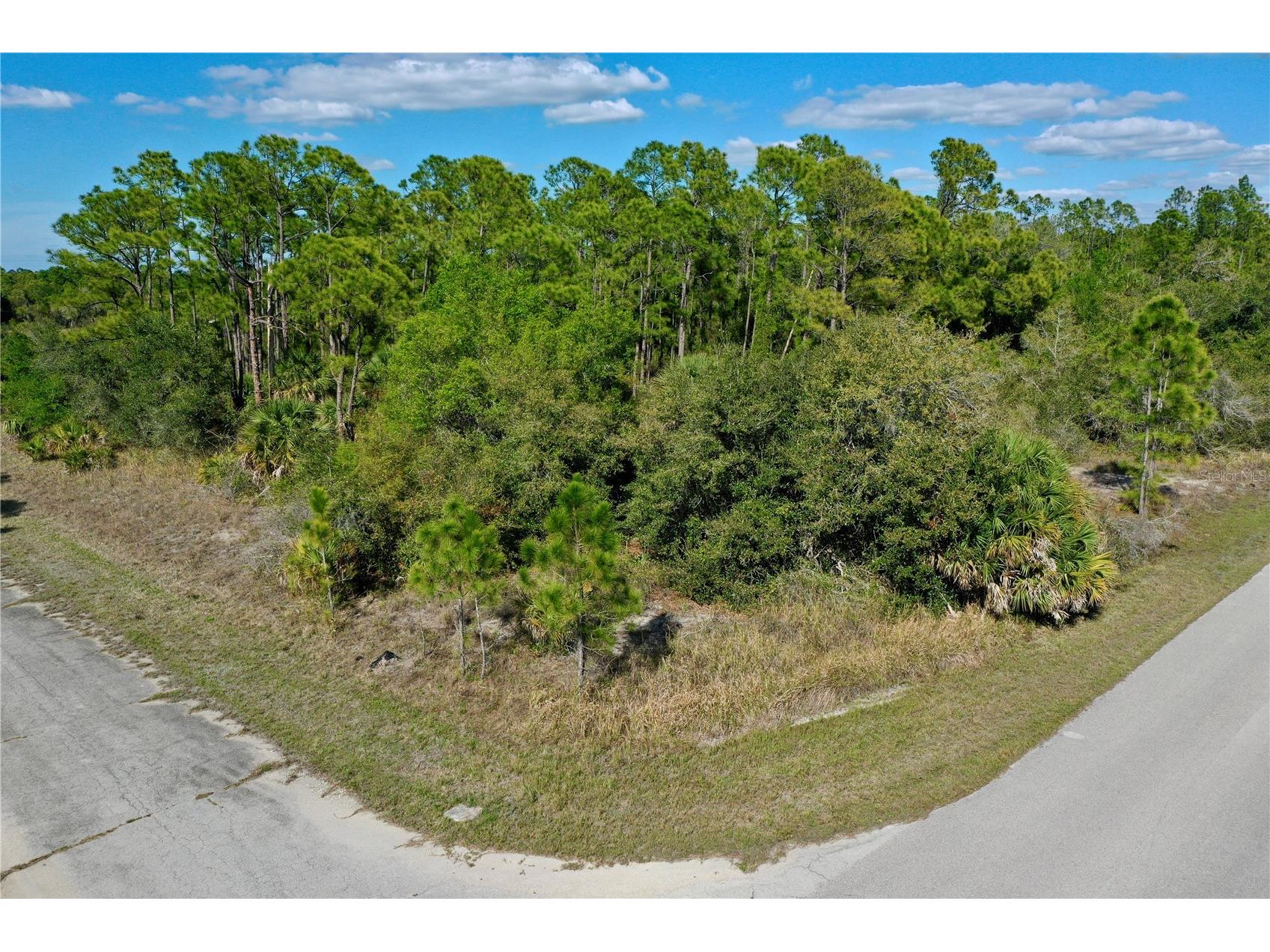 Jasper Terrace North Port FL 34288 C7523759 image1