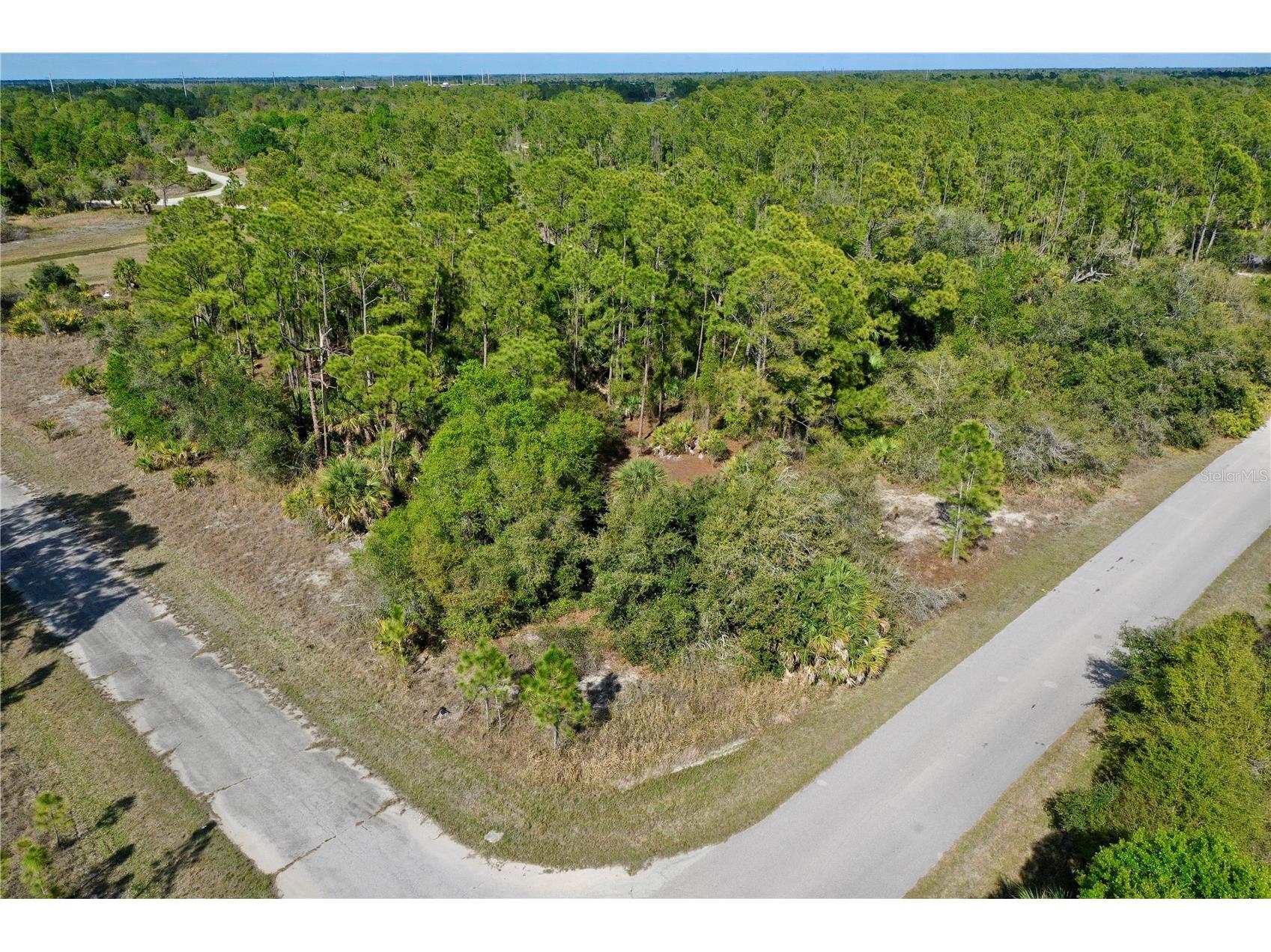 Jasper Terrace North Port FL 34288 C7523759 image14