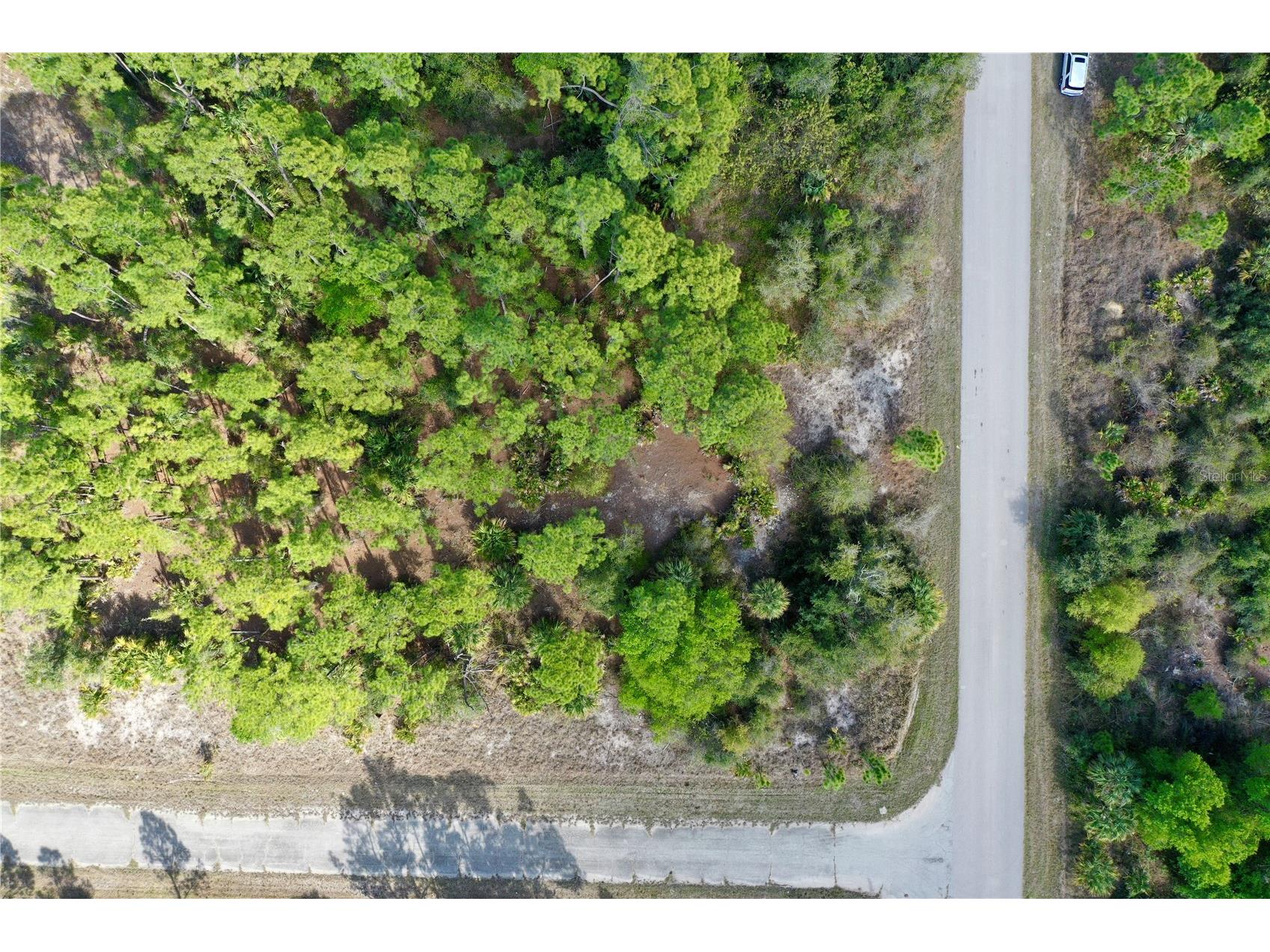 Jasper Terrace North Port FL 34288 C7523759 image2