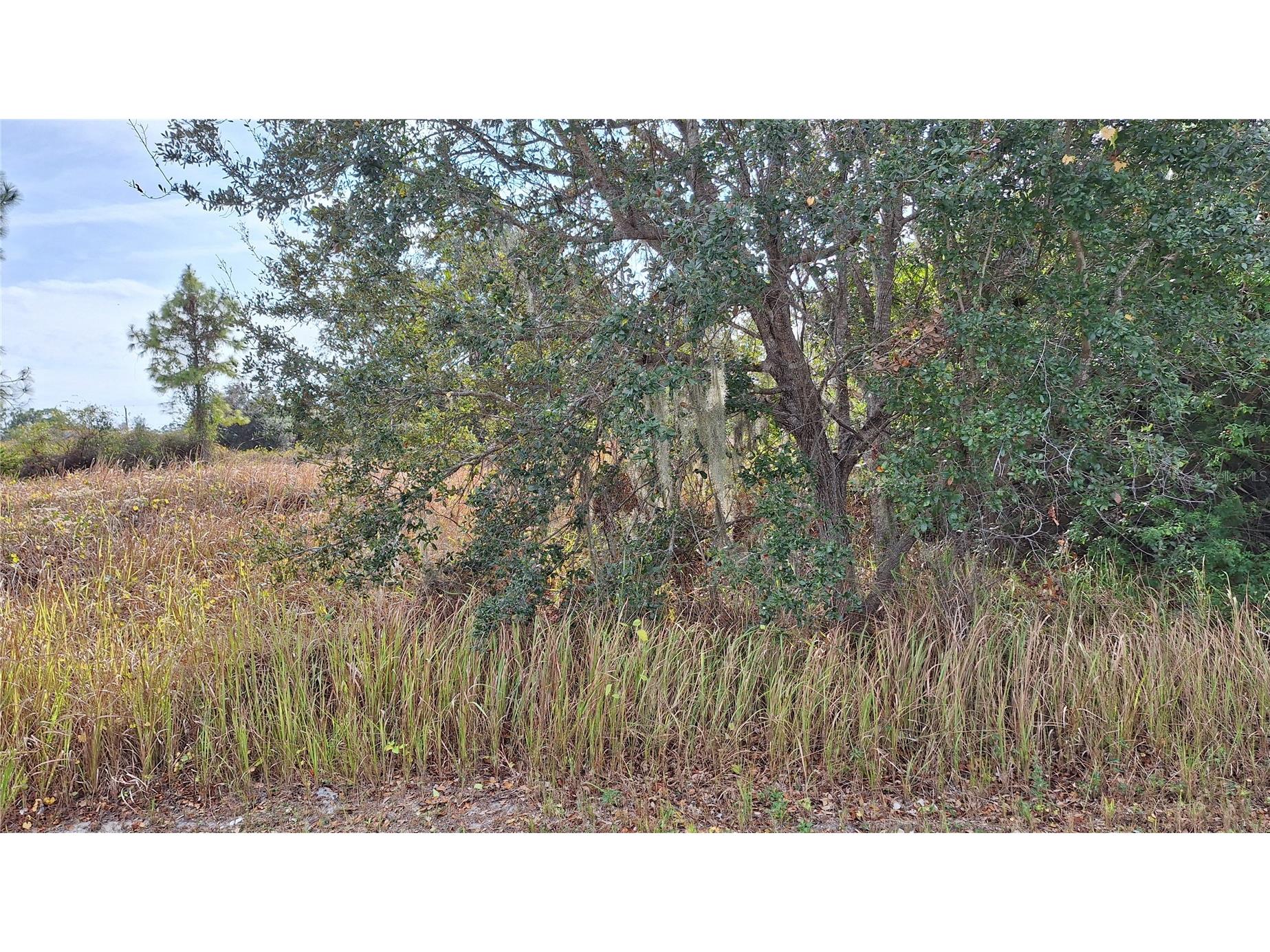Jaylene Road North Port FL 34288 A4678283 image3