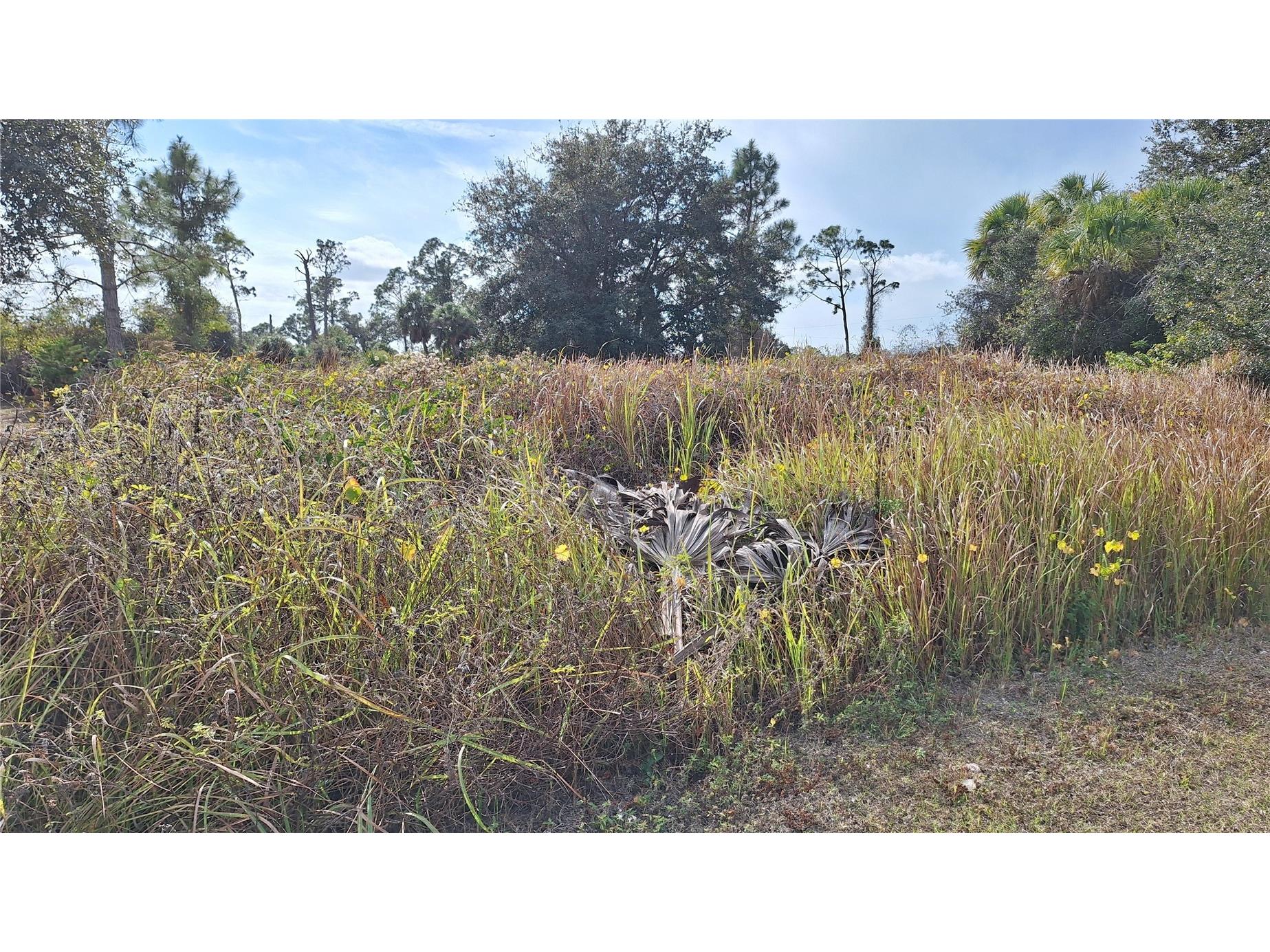 Jaylene Road North Port FL 34288 A4678283 image4