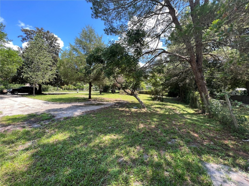 Jean Avenue Paisley FL 32767 V4928562 image1