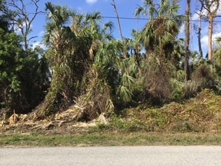 Jeannin Drive North Port FL 34288 A4557559 image1