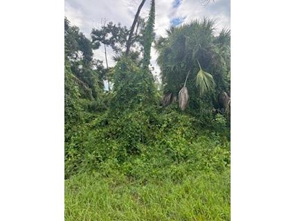 Jeannin Drive North Port FL 34288 A4619996 image2