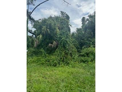 Jeannin Drive North Port FL 34288 A4619996 image3