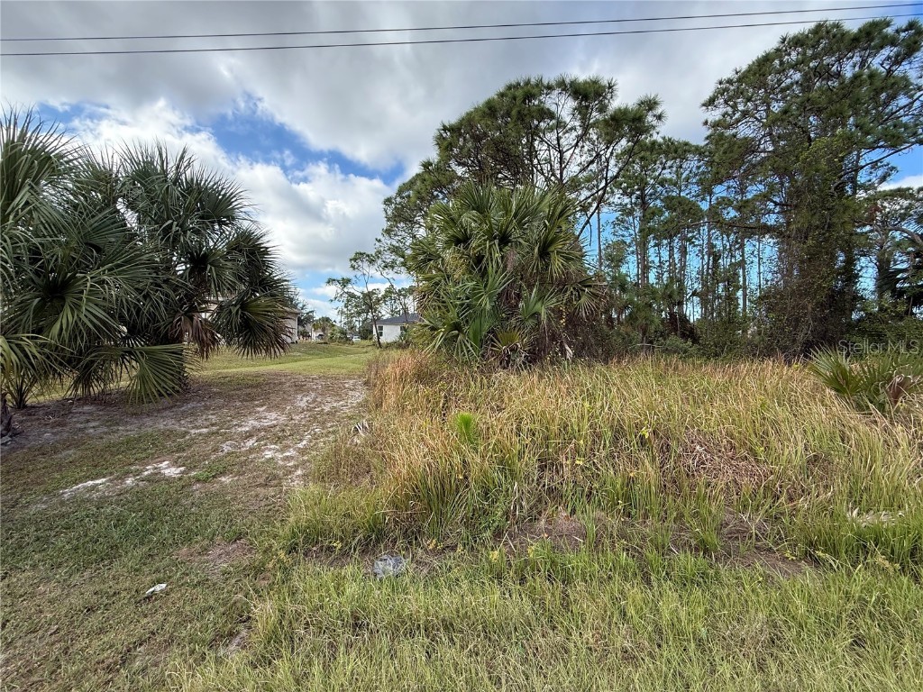Jeannin Drive North Port FL 34288 A4675051 image3