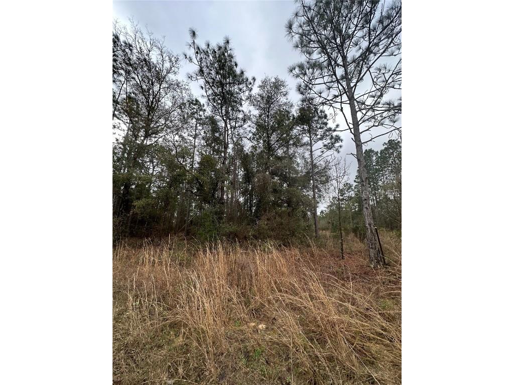 Jefferson Drive Hawthorne FL 32640 GC511796 image1