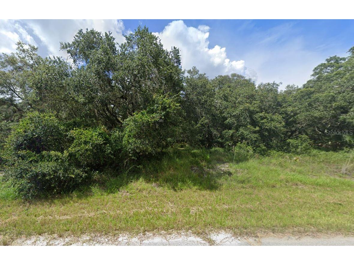 Jensley Avenue North Port FL 34286 OM698796 image1