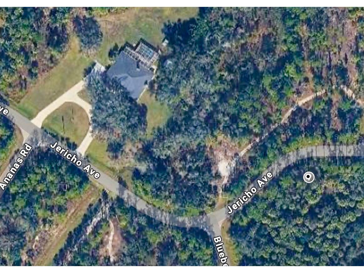 Jericho Avenue North Port FL 34288 C7522838 image2