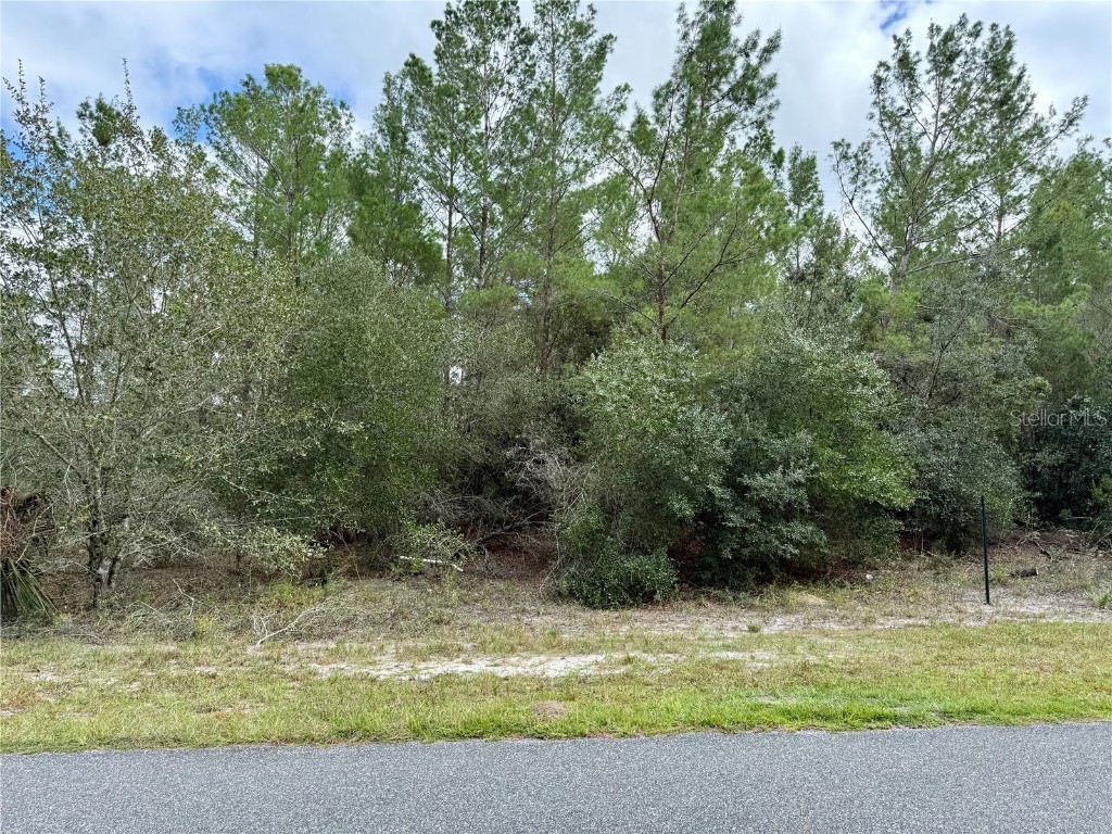 Jericho Trail Eustis FL 32736 O6353939 image1