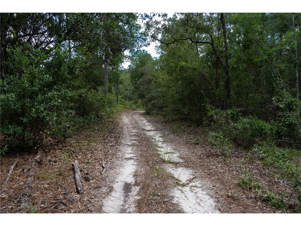 Jernigan Street Brooksville FL 34613 TB8412476 image10