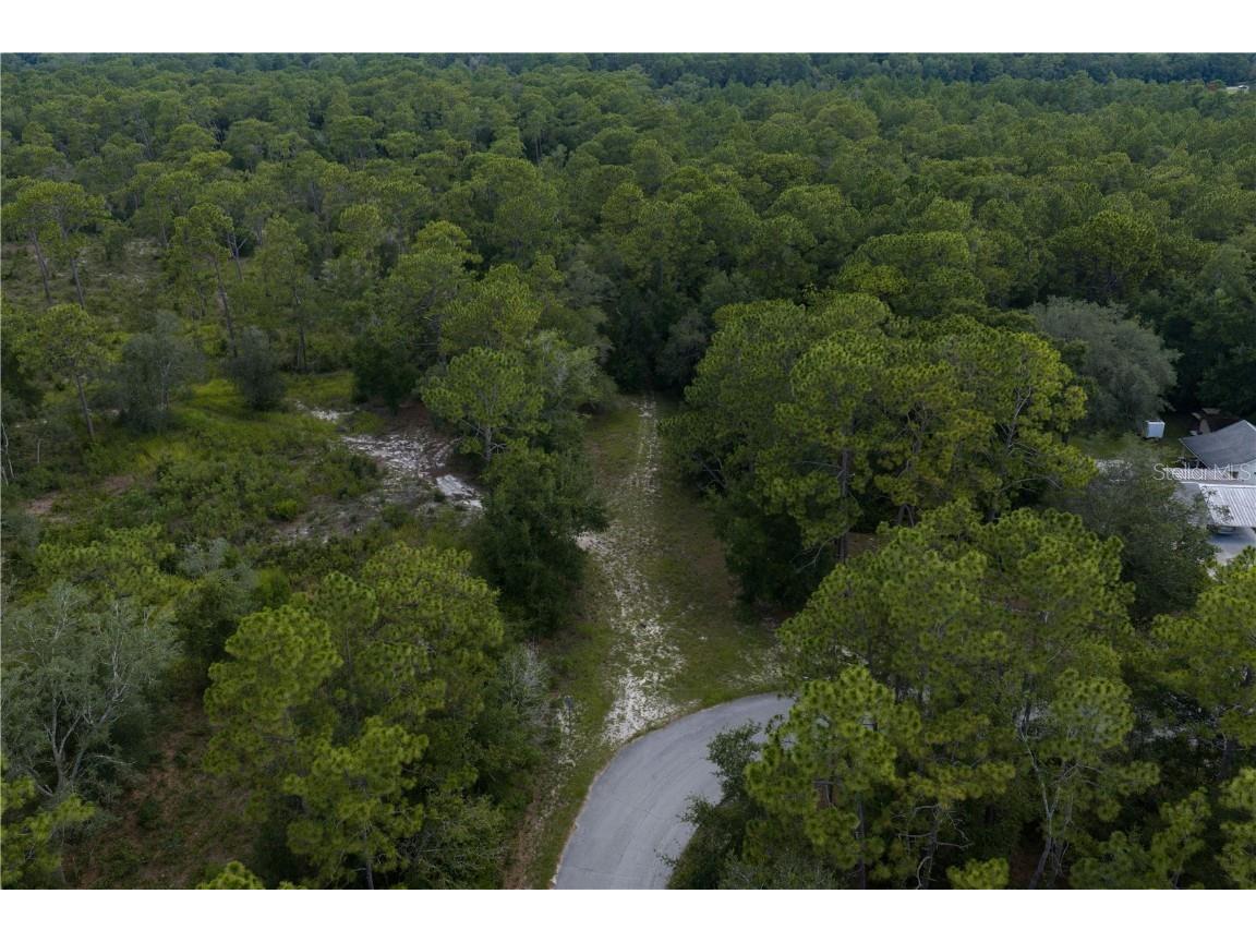 Jernigan Street Brooksville FL 34613 TB8412476 image2