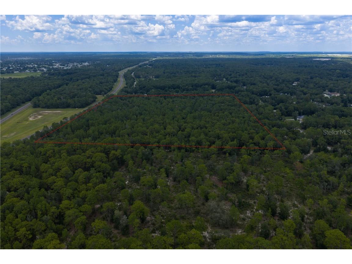 Jernigan Street Brooksville FL 34613 TB8412476 image6