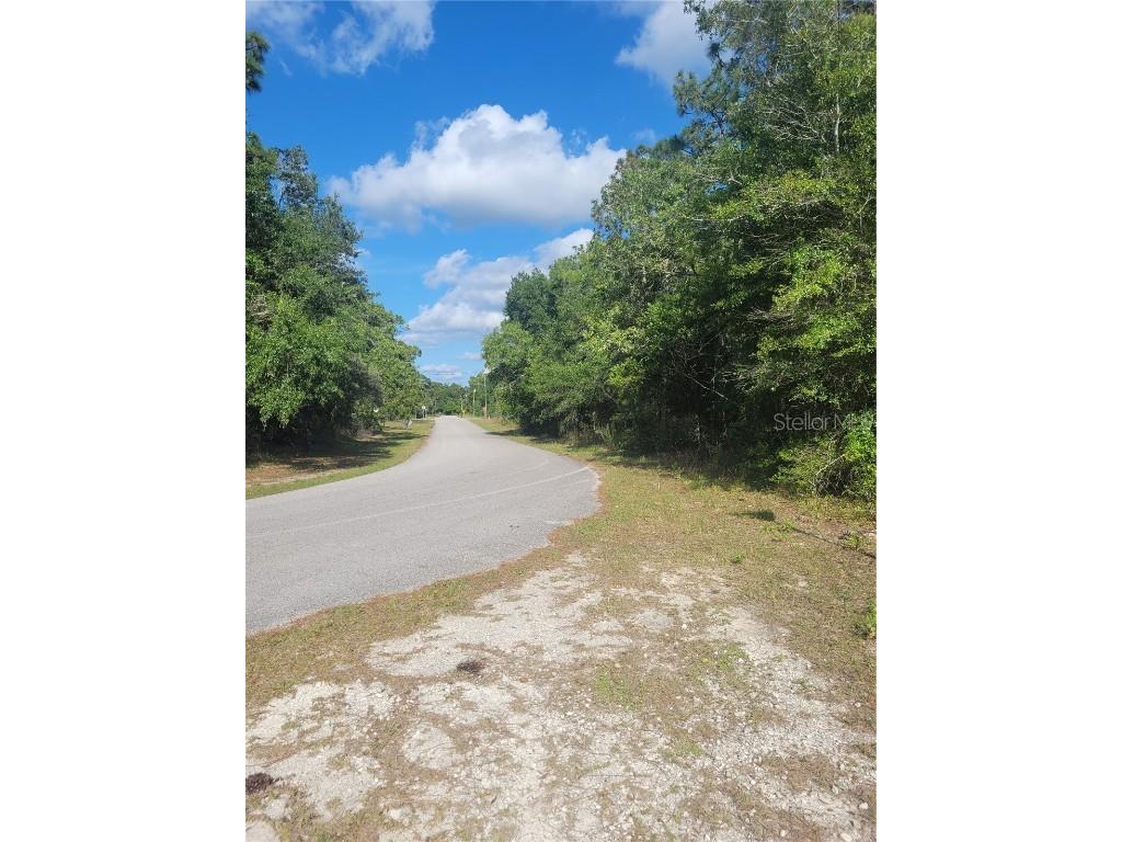 Jernigan Street Brooksville FL 34613 TB8412476 image8