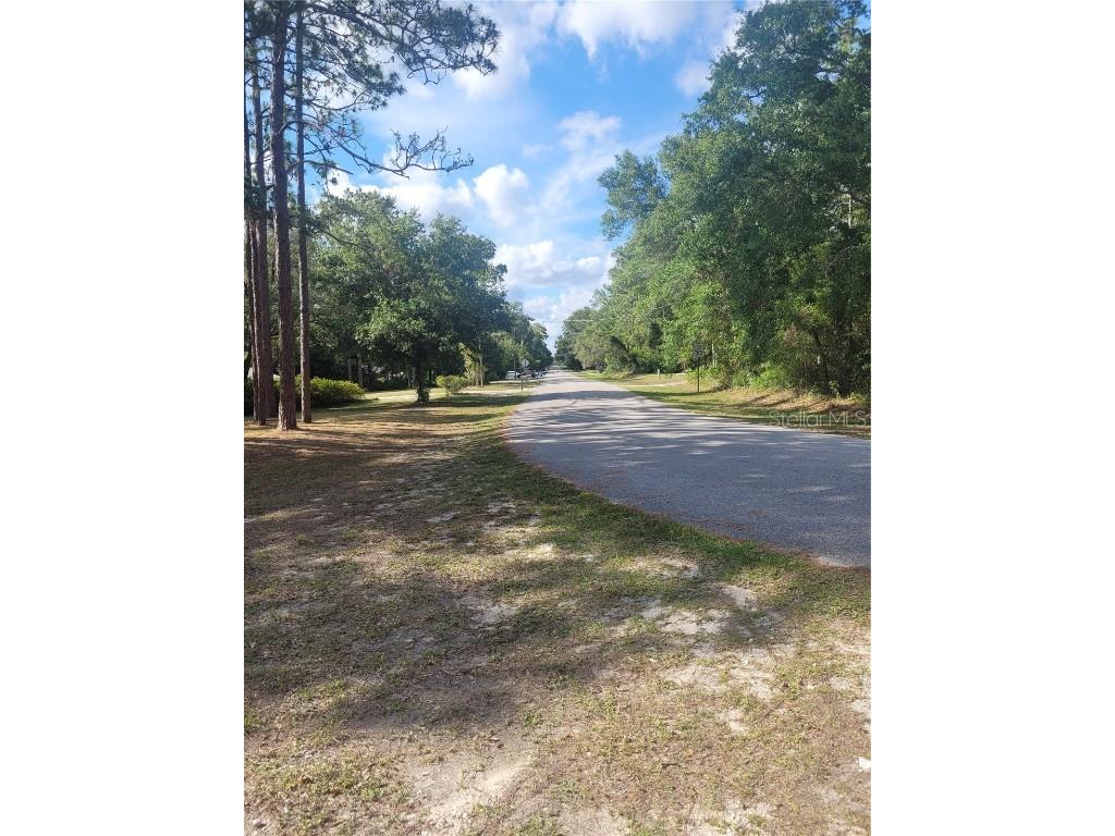 Jernigan Street Brooksville FL 34613 TB8412476 image9