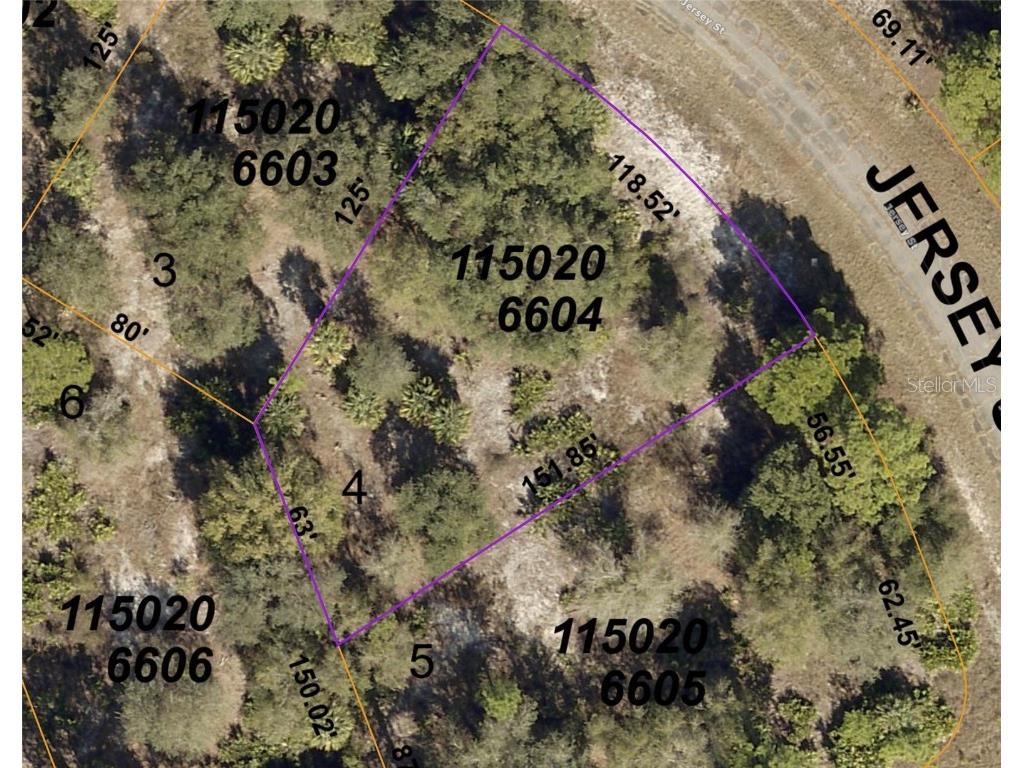 Jersey Street North Port FL 34288 C7505128 image7