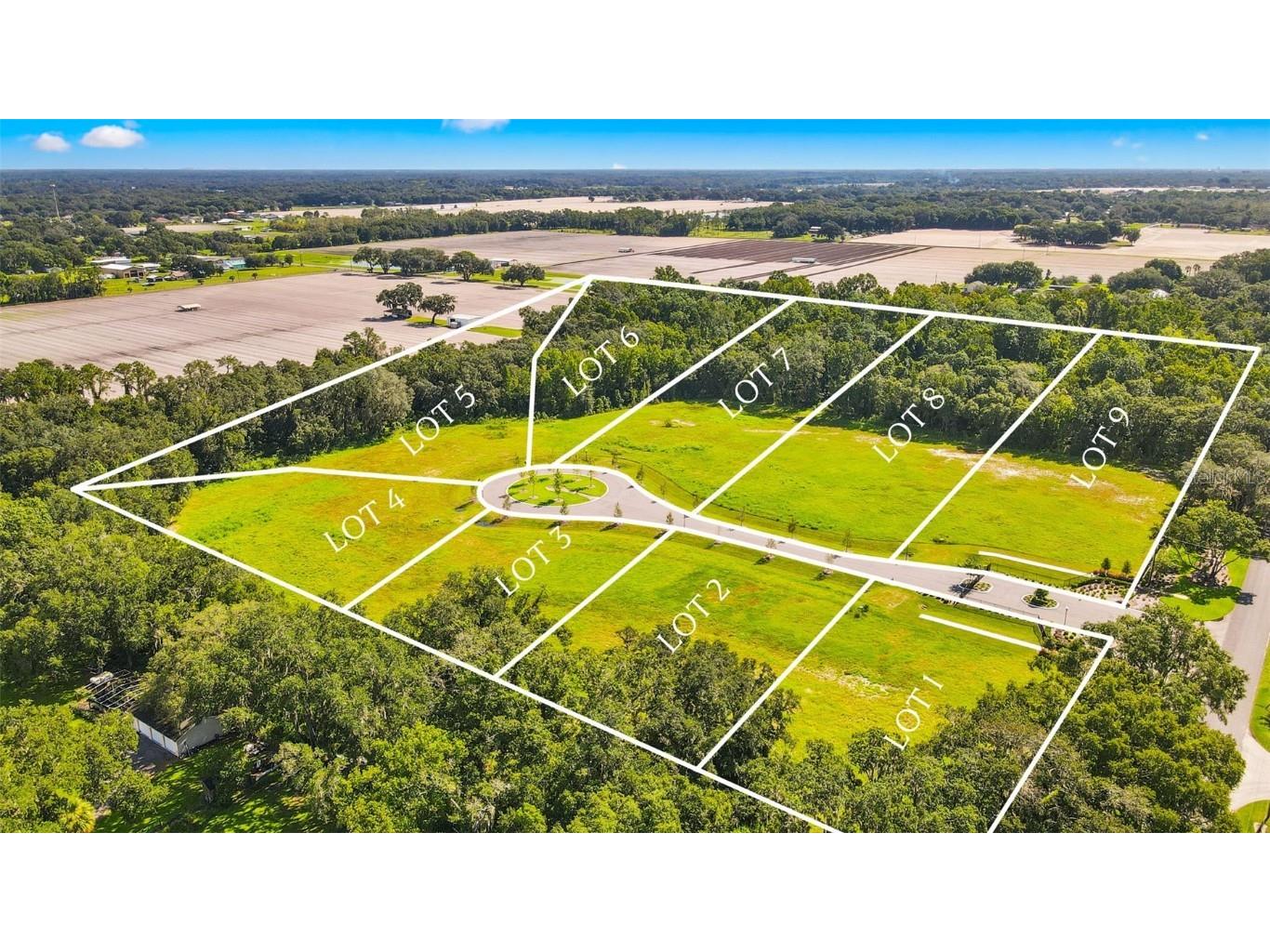 Jess Walden Road Dover FL 33527 T3469289 image1