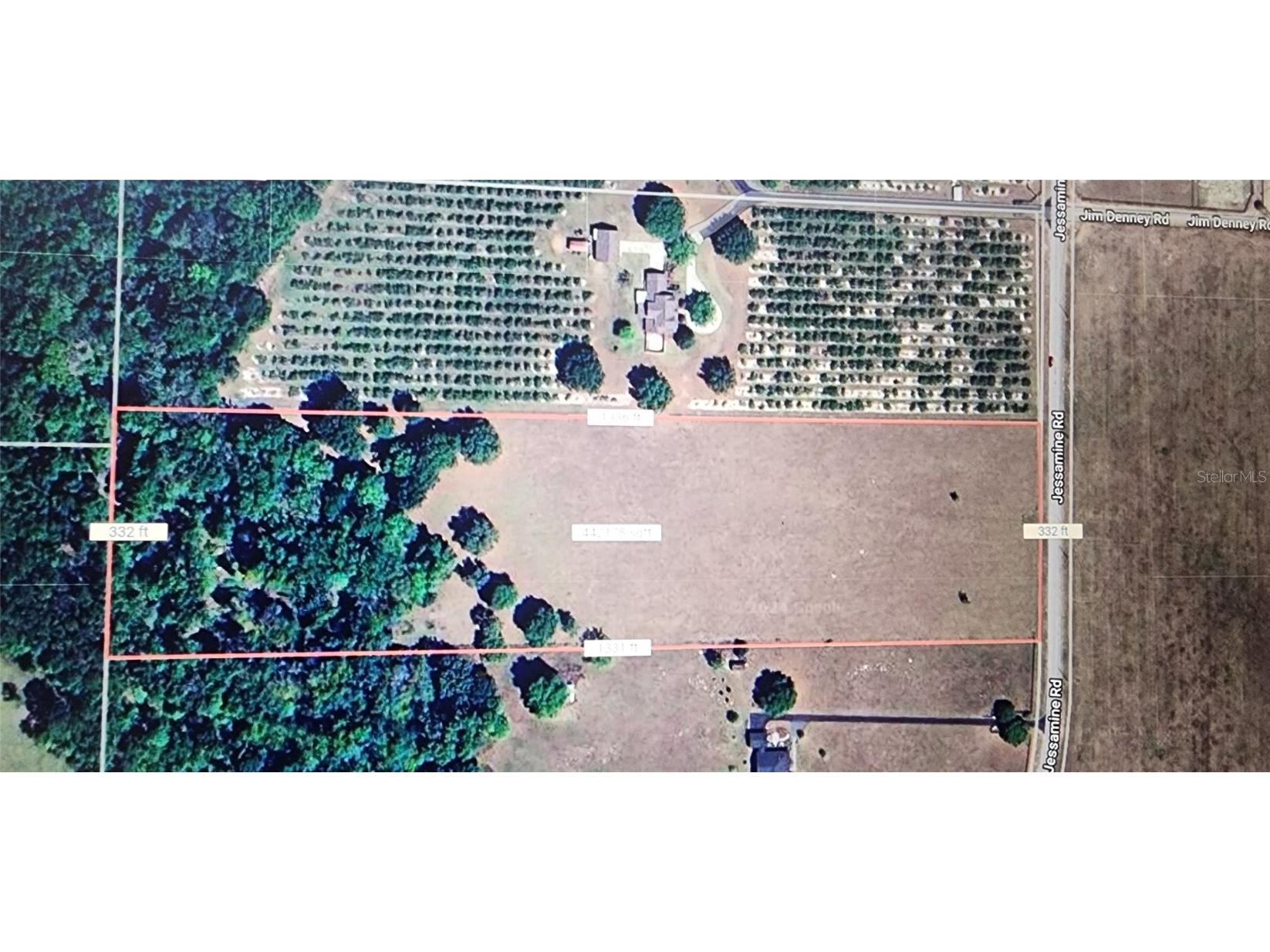 Jessamine Dade City FL 33523 T3512652 image1