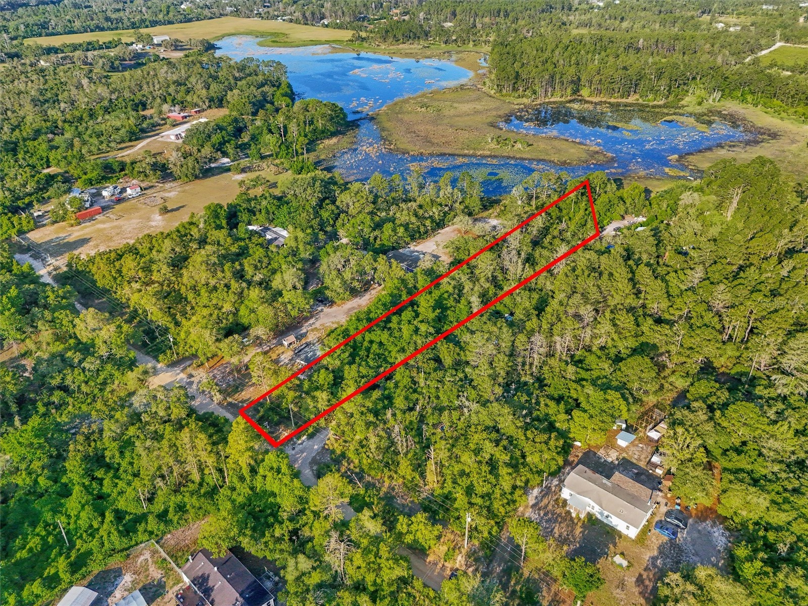 Jewell Drive Deland FL 32720 - Buck Lake O6406316 image12