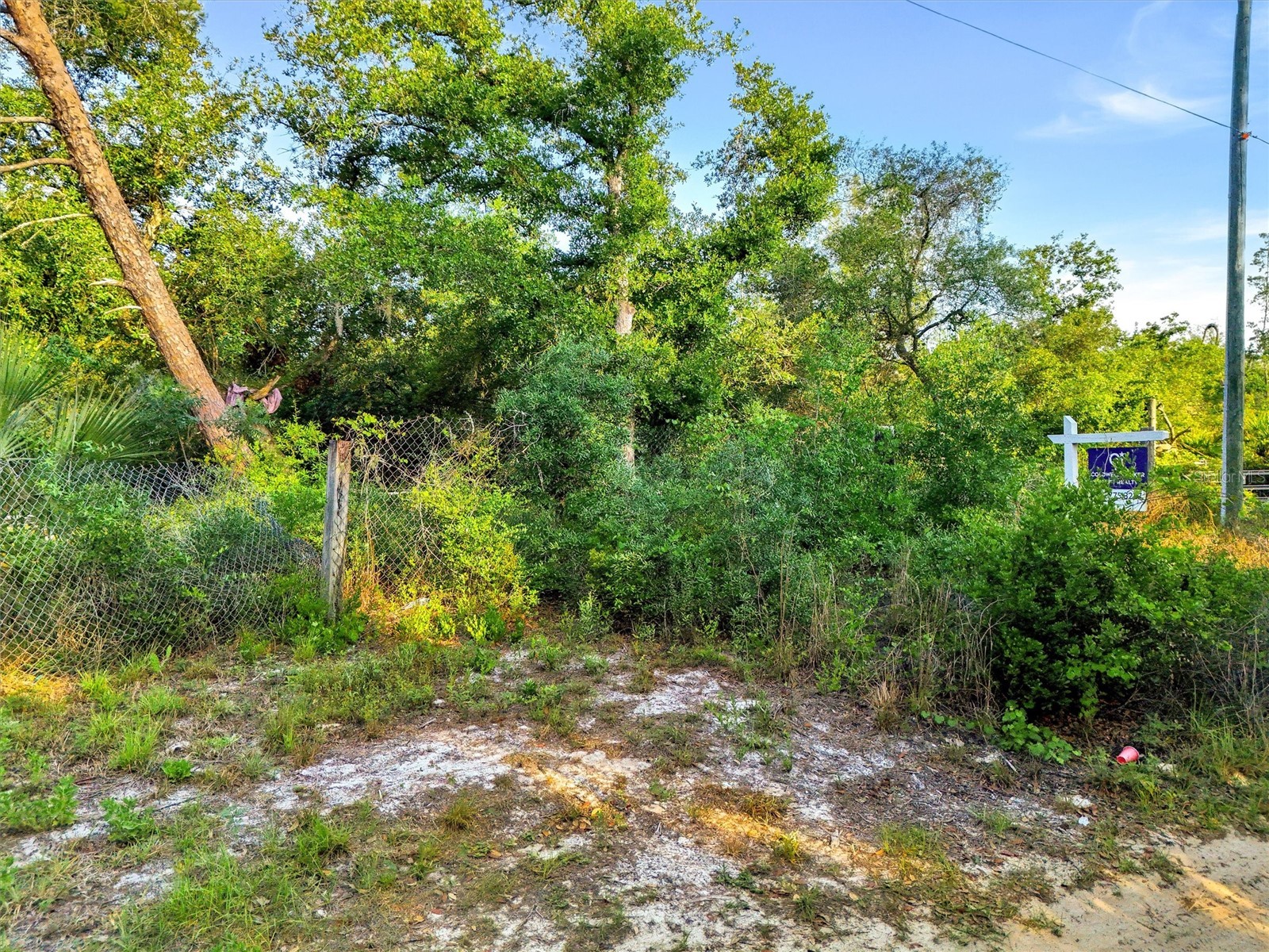 Jewell Drive Deland FL 32720 - Buck Lake O6406316 image4
