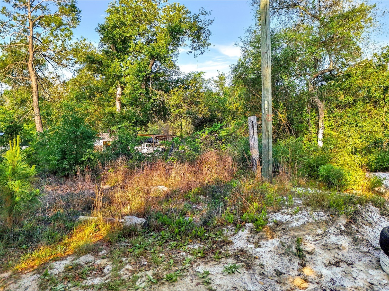 Jewell Drive Deland FL 32720 - Buck Lake O6406316 image5