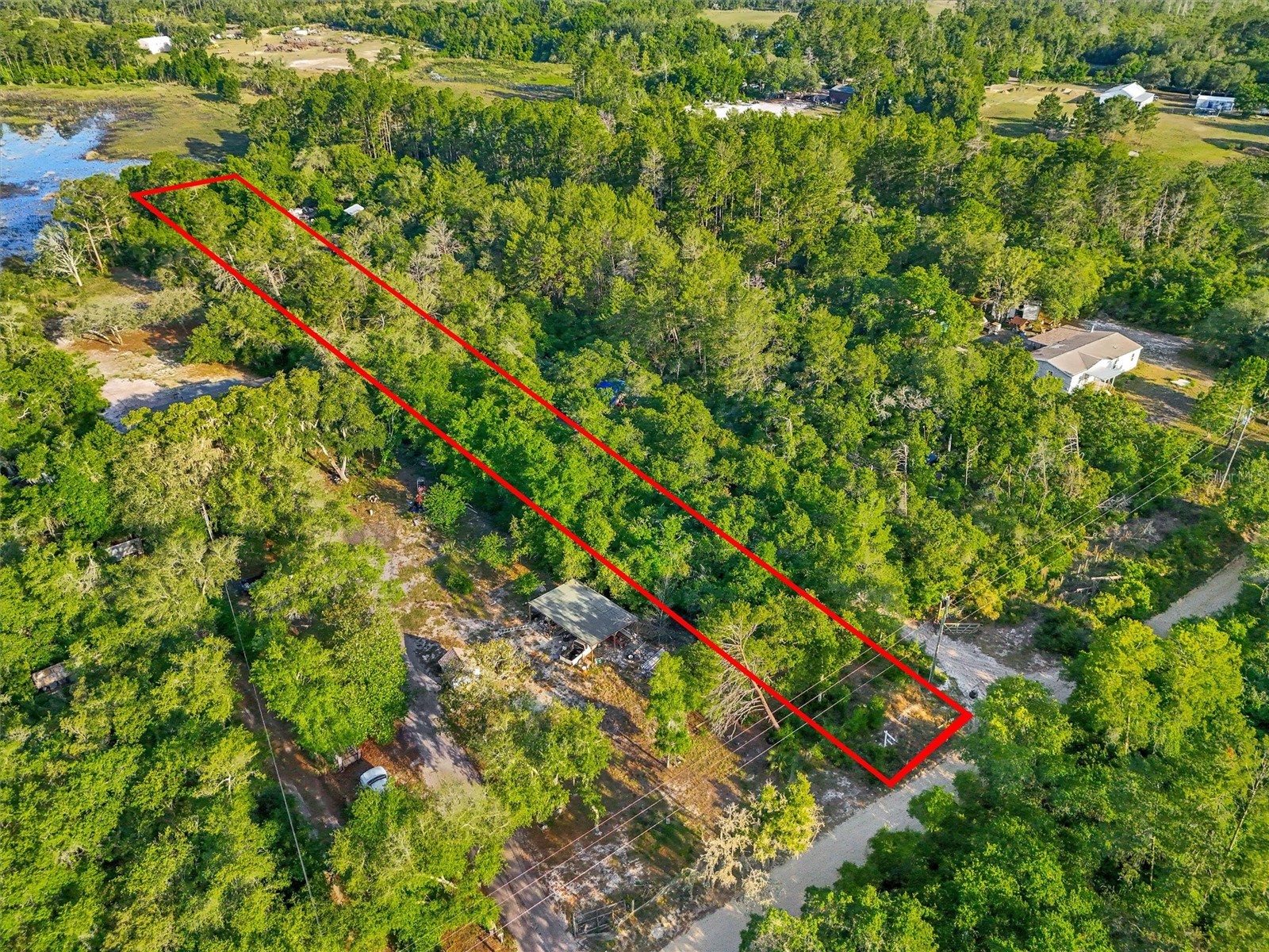 Jewell Drive Deland FL 32720 - Buck Lake O6406316 image6