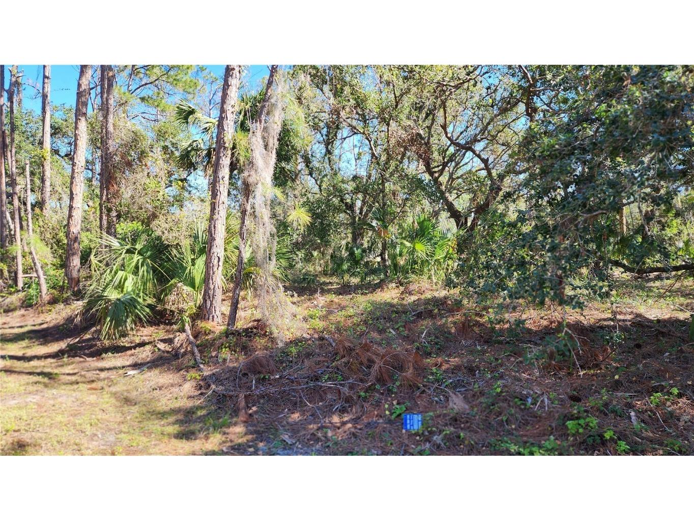 Joann Terrace North Port FL 34286 N6124640 image1