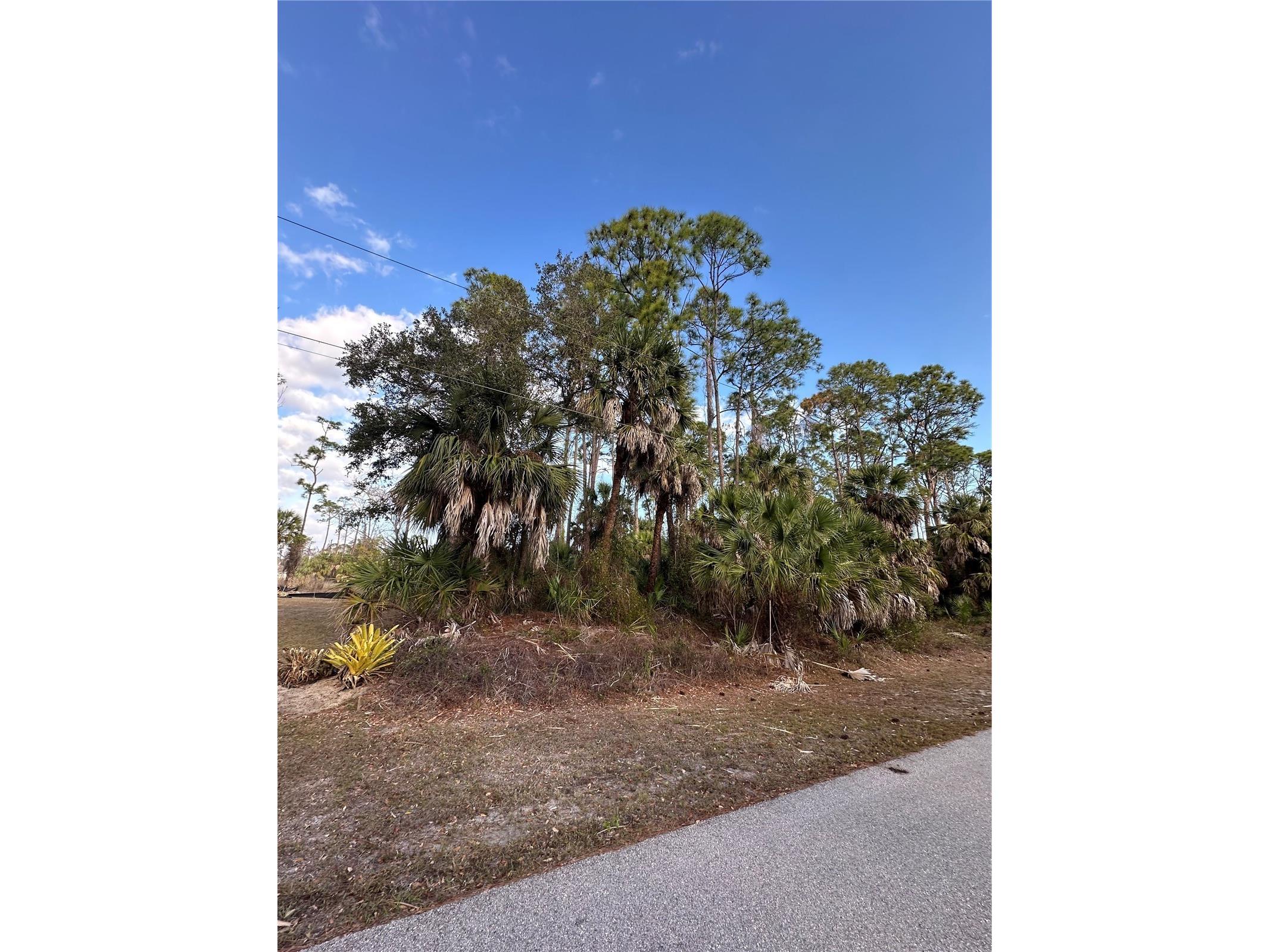 Joann Terrace North Port FL 34286 C7519714 image2