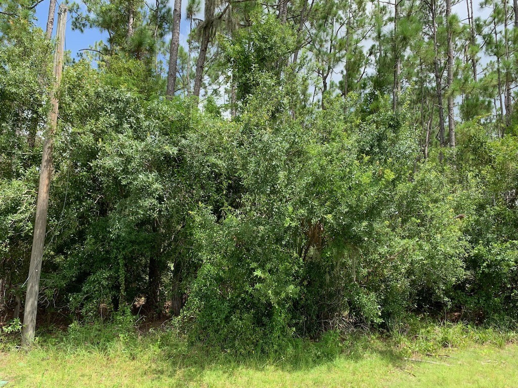 Joe Jeff Street North Port FL 34286 C7512763 image2