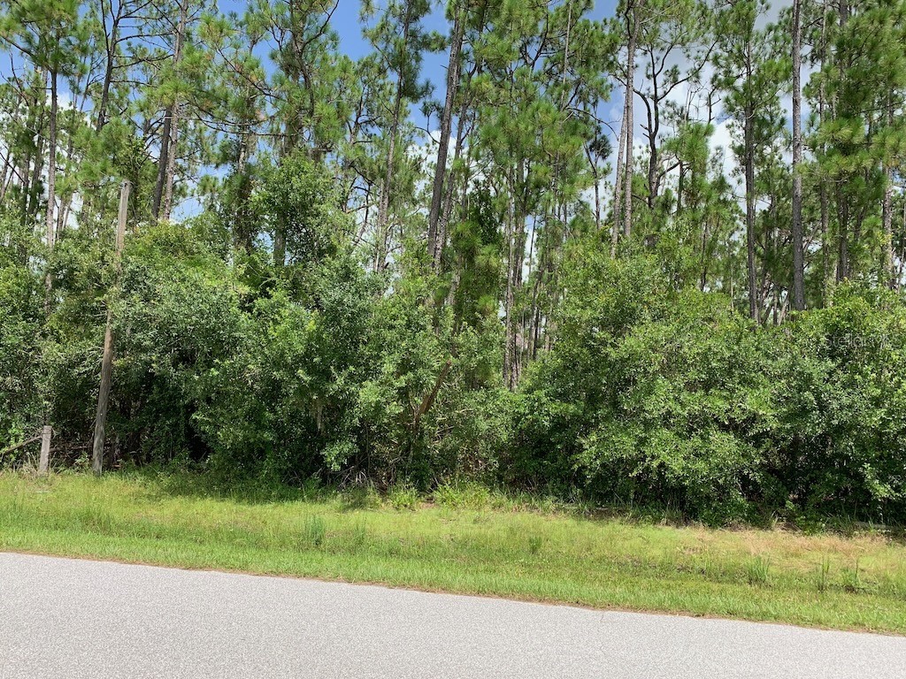 Joe Jeff Street North Port FL 34286 C7512763 image3