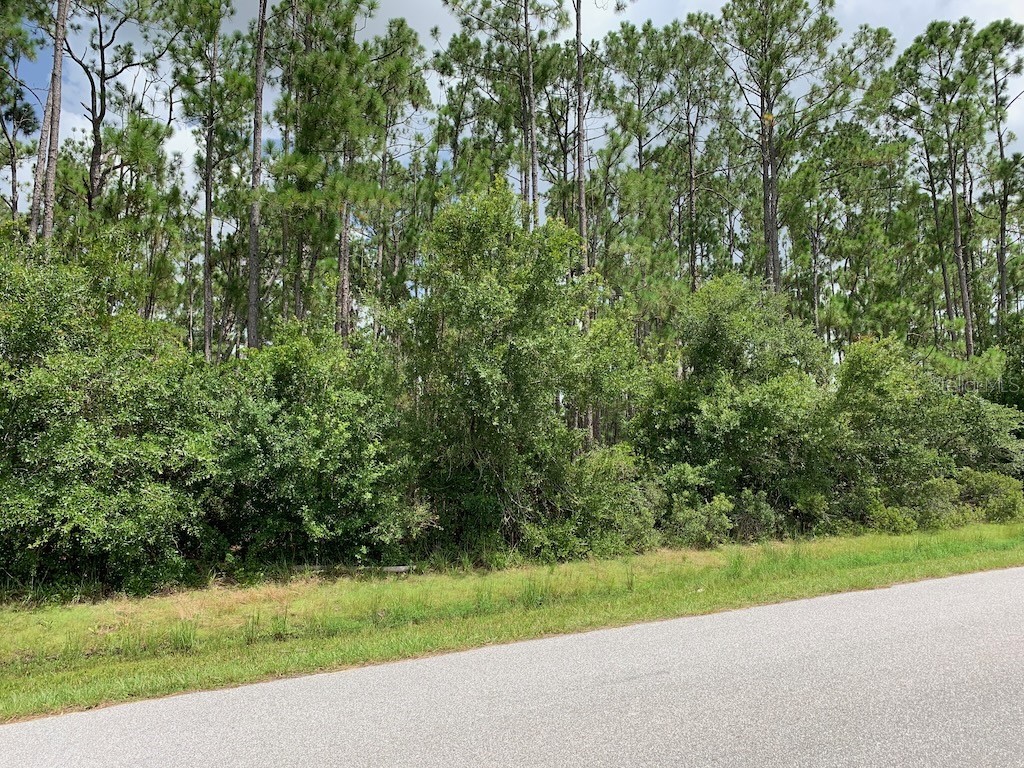 Joe Jeff Street North Port FL 34286 C7512763 image4