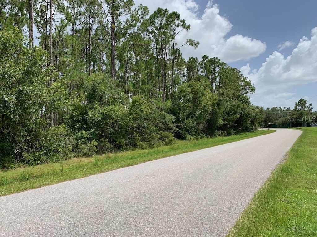 Joe Jeff Street North Port FL 34286 C7512763 image5