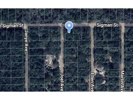 Joel Avenue Interlachen FL 32148 OM697100 image1