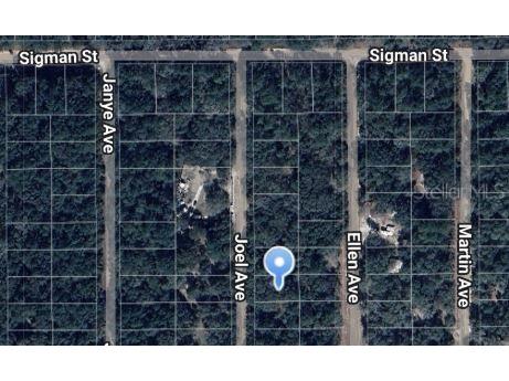 Joel Avenue Interlachen FL 32148 OM697103 image1