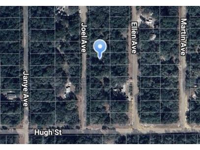 Joel Avenue Interlachen FL 32148 OM697104 image1