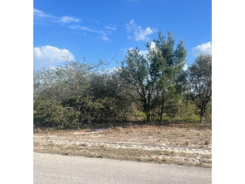 Joey Lane Frostproof FL 33843 P4925457 image1