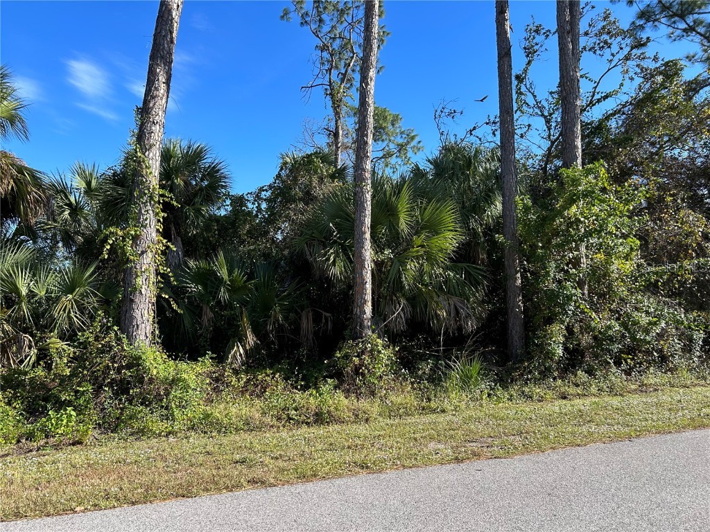 Johannesberg Rd North Port FL 34288 C7484705 image1