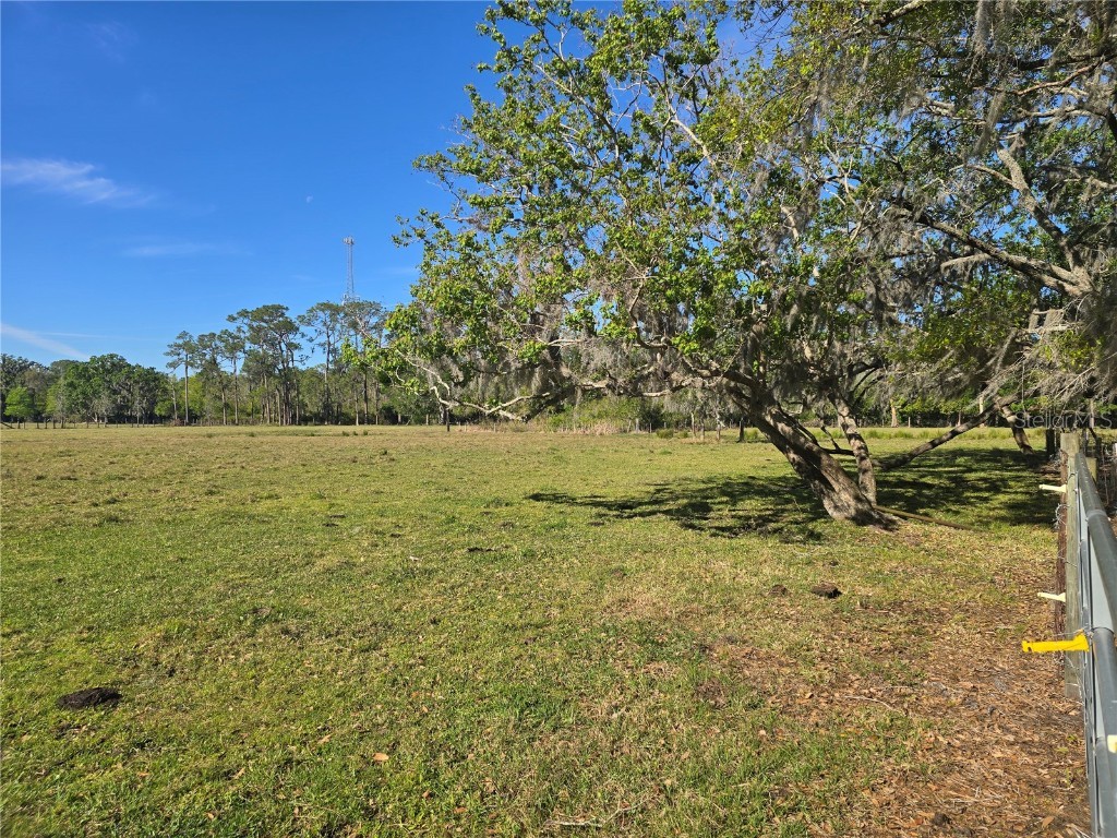 Johnson Road Auburndale FL 33823 P4934235 image1